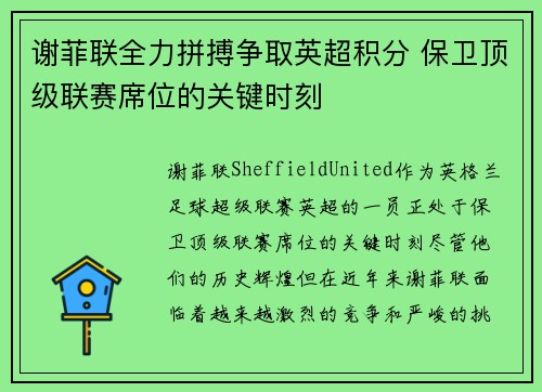 谢菲联全力拼搏争取英超积分 保卫顶级联赛席位的关键时刻