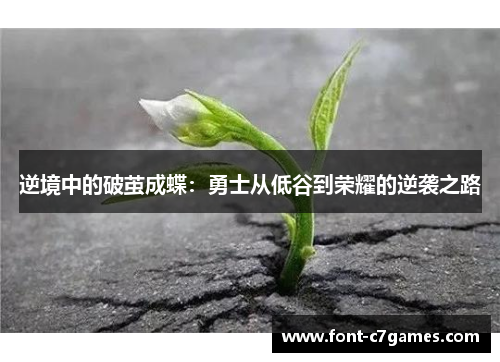逆境中的破茧成蝶：勇士从低谷到荣耀的逆袭之路